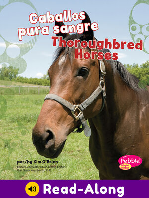 cover image of Caballos pura sangre/Thoroughbred Horses